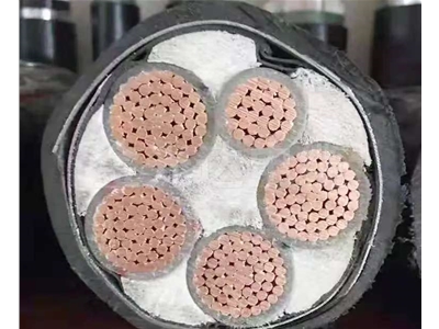 銅芯低壓電纜 (1)