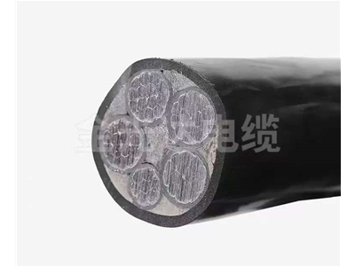 鋁芯低壓電纜 (7)