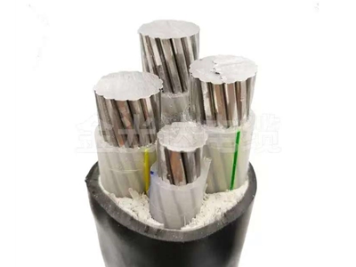 鋁芯低壓電纜 (8)