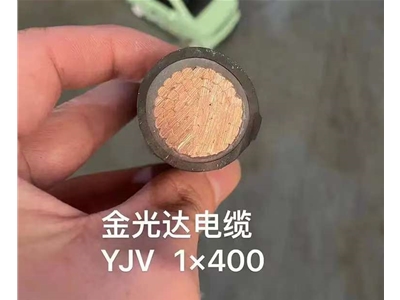 金光達(dá)電纜YJV-1X400