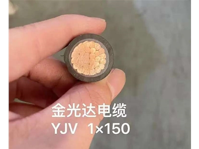 金光達電纜YJV-1X150