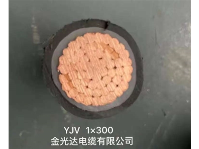 金光達電纜YJV-1X300